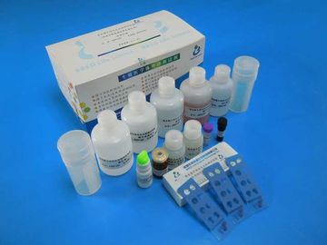 Αρσενική εξάρτηση δοκιμής λειτουργίας σπέρματος στειρότητας για την αξιολόγηση της λειτουργίας Acrosome