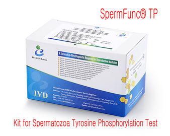 Επαγγελματική εξάρτηση ωριμότητας σπέρματος για πρωτεϊνικό Tyrosine προσδιορισμού Phosphorylation