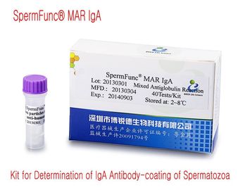 40T/Kit Ανδρικό διαγνωστικό κιτ για τον προσδιορισμό της επικάλυψης αντισωμάτων IgA των σπερματοζωαρίων