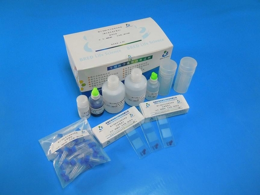Wright Stain Sperm Fragmentation Test Validated Reagent Kit 40 Tests/Kit