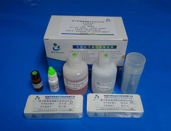 40T/Kit Κιτ Λειτουργίας Σπέρματος για Προσδιορισμένη Φωσφορυλίωση Τυροσίνης Πρωτεϊνών